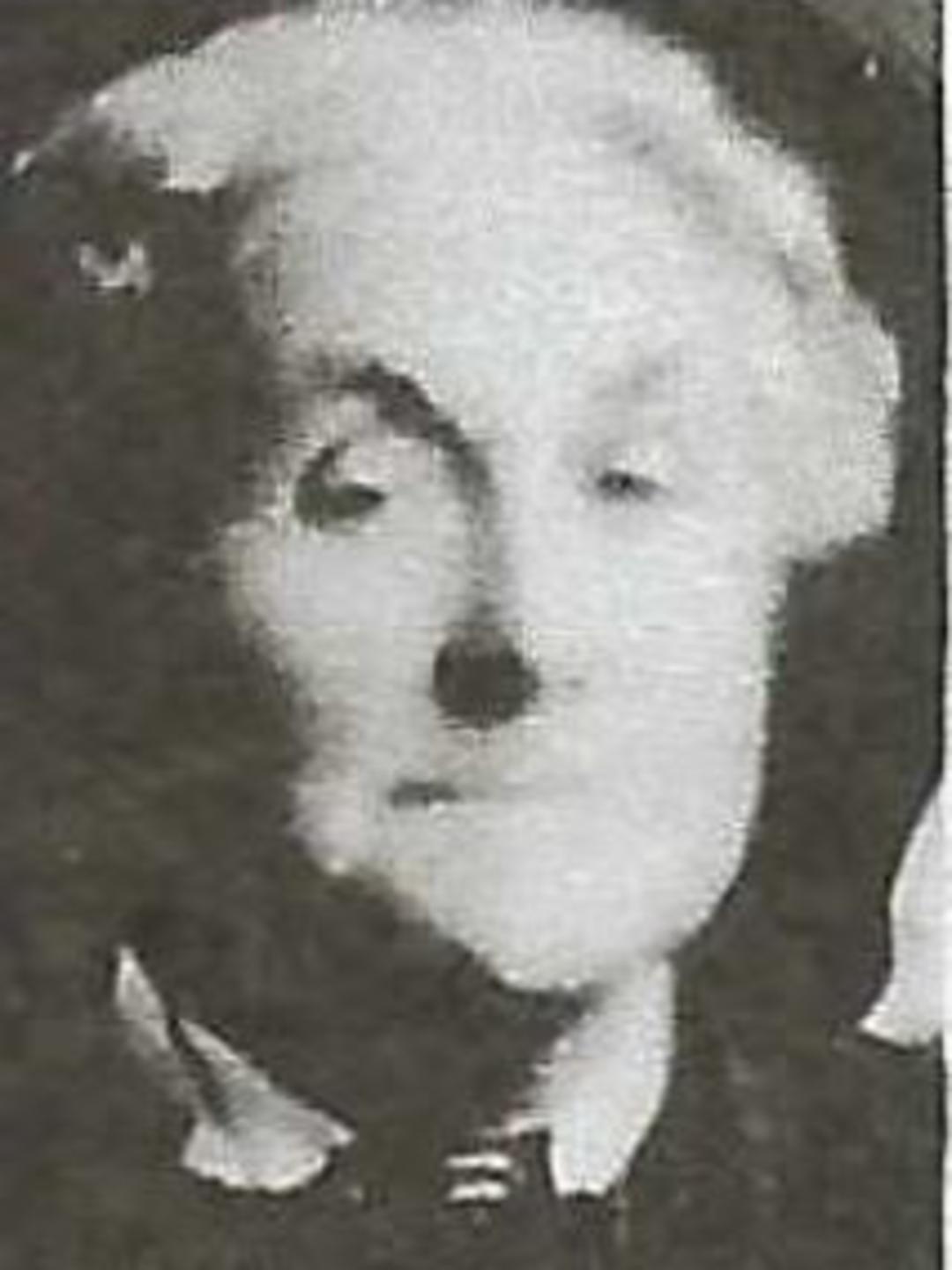 Amanda Adeline Steele (1844 - 1915) Profile